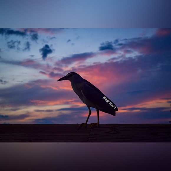 Handmade Other - “Sunset Scavenger” 🖤 4”x6” Framed Original Print by deSmit Design